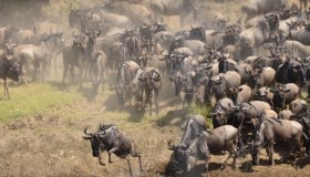 测试Magento 2数据迁移工具 测试Magento 2数据迁移工具