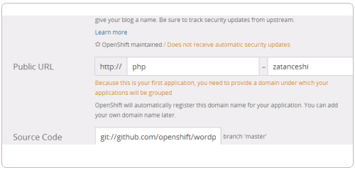 OpenShift填入二级域名