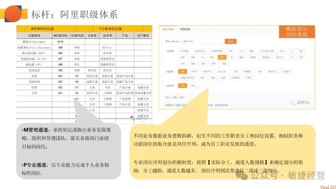 如何快速0-1搭建职级体系 如何快速0-1搭建职级体系